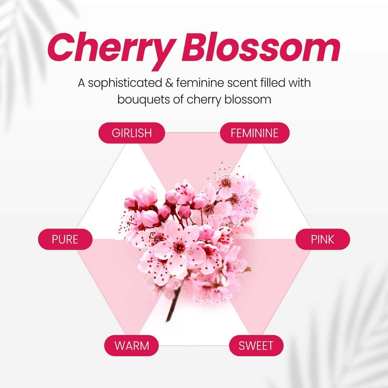 Natural Caffeine Scalp Shampoo Anticaida Cherry Blossom - KUNDAL - Sarang