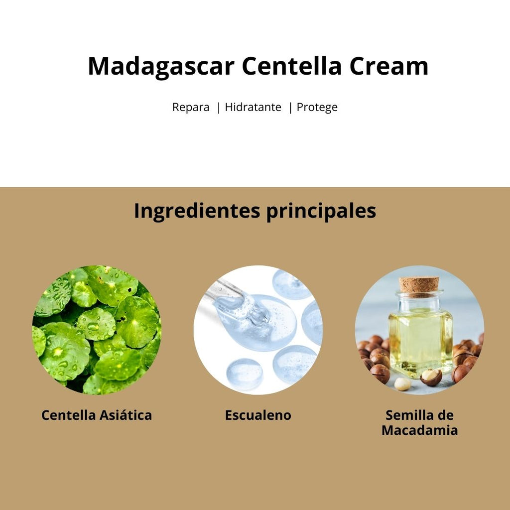 Madagascar Centella Cream - SKIN1004 - Sarang