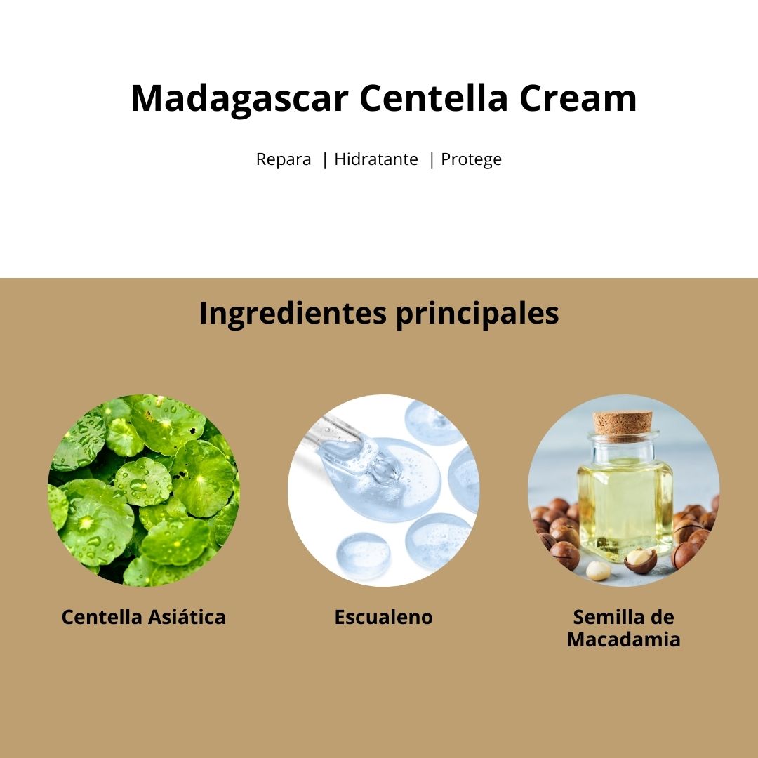 Madagascar Centella Cream - SKIN1004 - Sarang