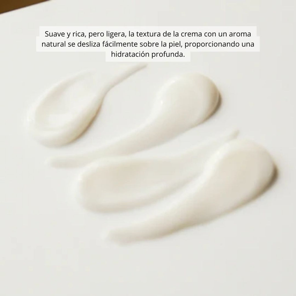 Madagascar Centella Cream - SKIN1004 - Sarang