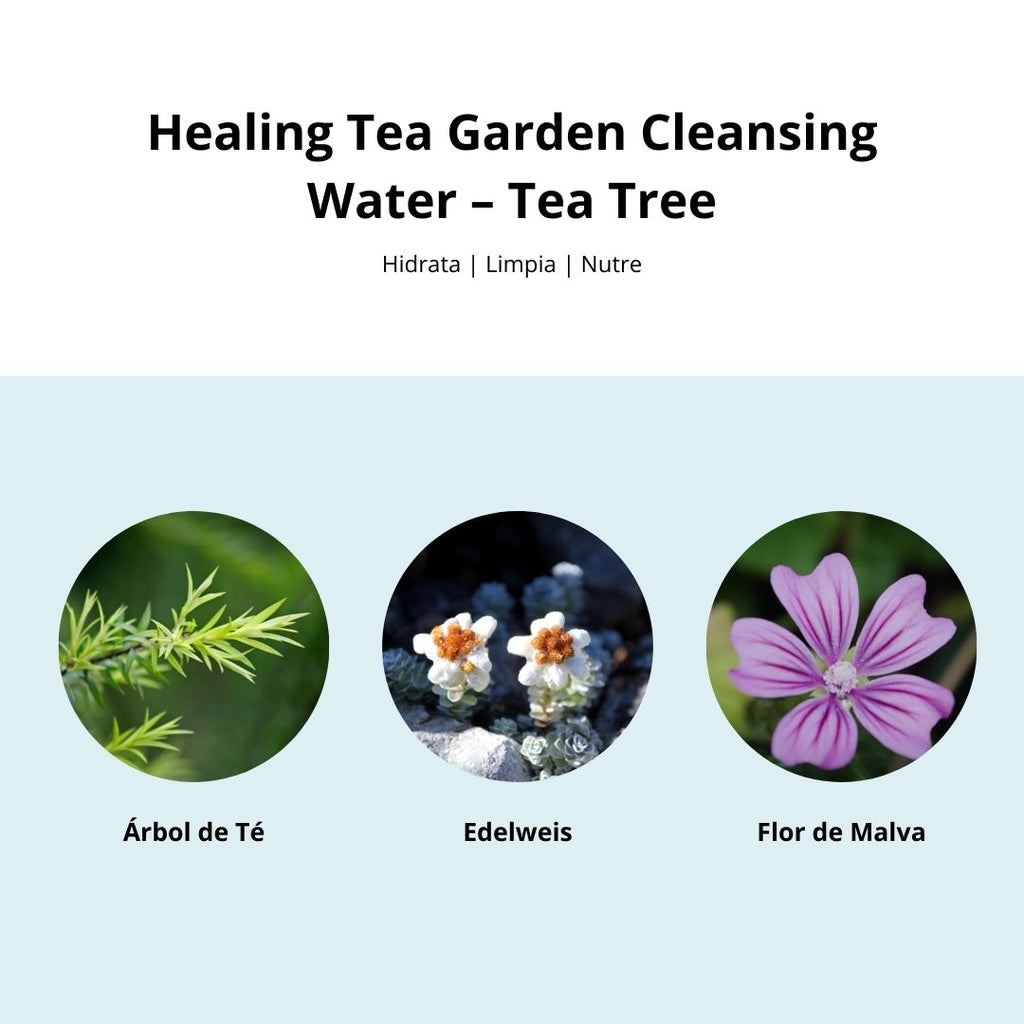 Agua micelar Healing Tea Garden Cleansing Water Tea 300 ml Tea Tree - The Saem - Sarang