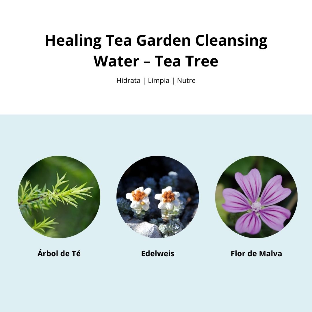 Agua micelar Healing Tea Garden Cleansing Water Tea 300 ml Tea Tree - The Saem - Sarang